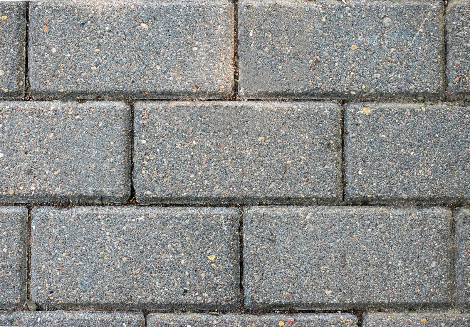 sergio lapunin hn0rwzwz fi unsplash